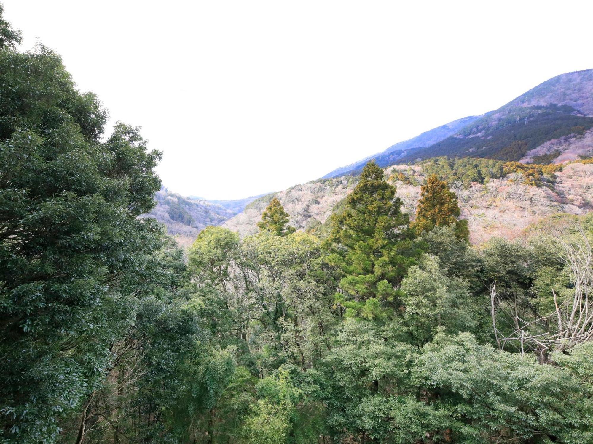 Hot Spring Inn Hakone Suisen Bagian luar foto