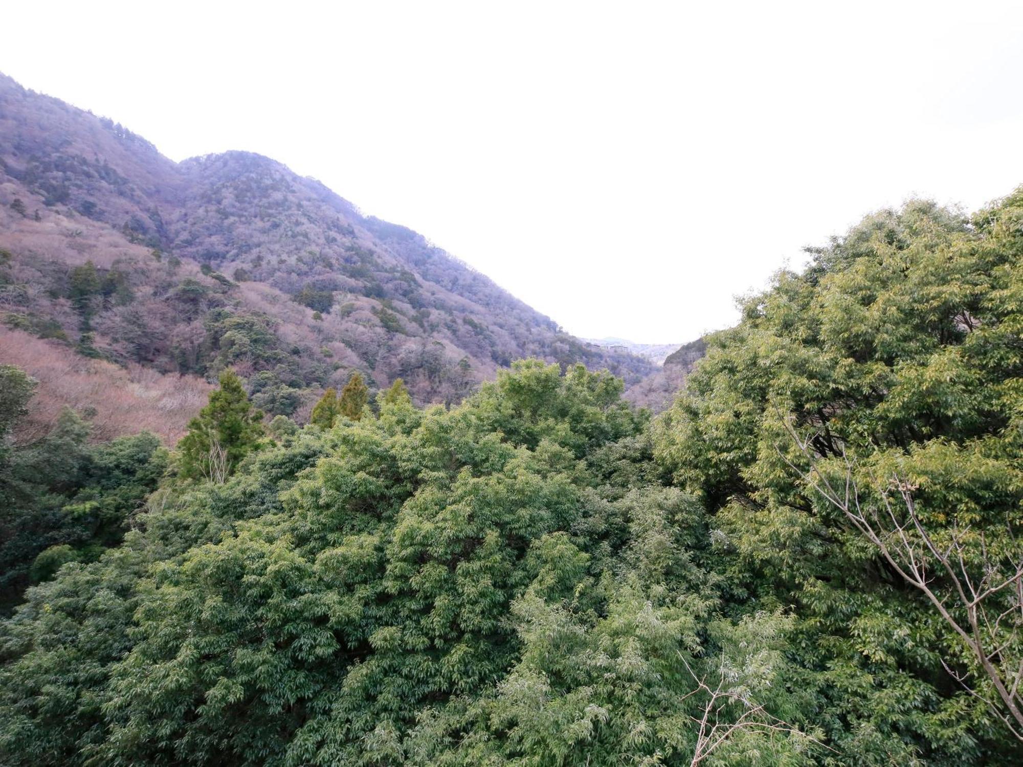 Hot Spring Inn Hakone Suisen Bagian luar foto